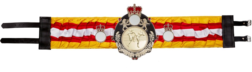 QUEENSBURY THAI BOXING SILK CHAMPIONSHIP BELT- QUEEN/B/TBOG/SILK - AVAILABLE IN 6 COLOURS